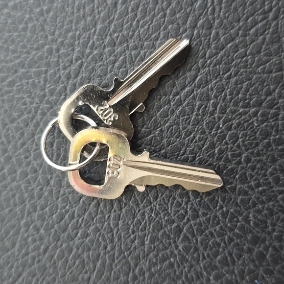 Louis Vuitton Handbags - Louis Vuitton silver keys #302